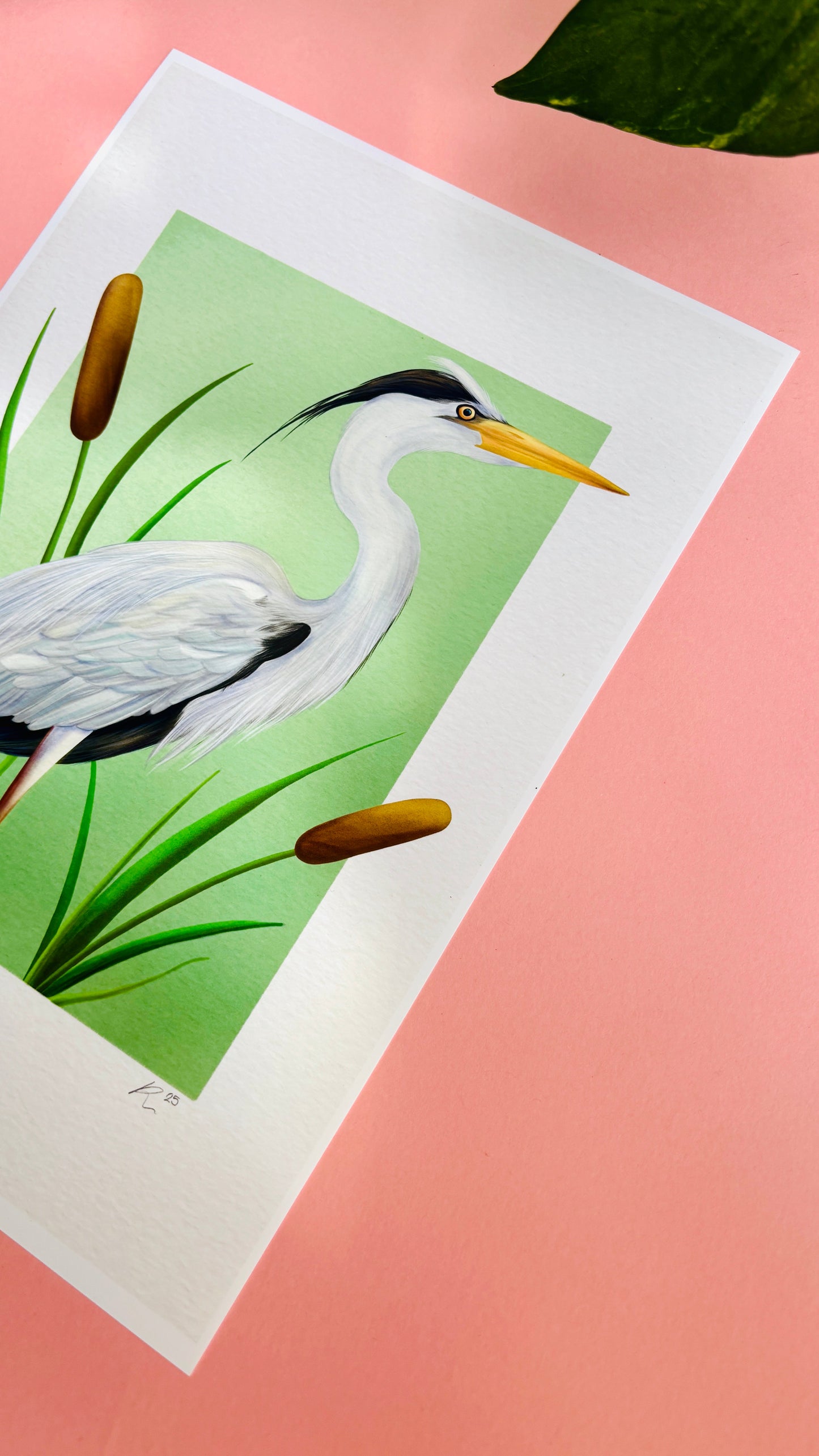 Grey Heron Wildlife Art Print –Wall Art for Nature Lovers in Multiple Sizes