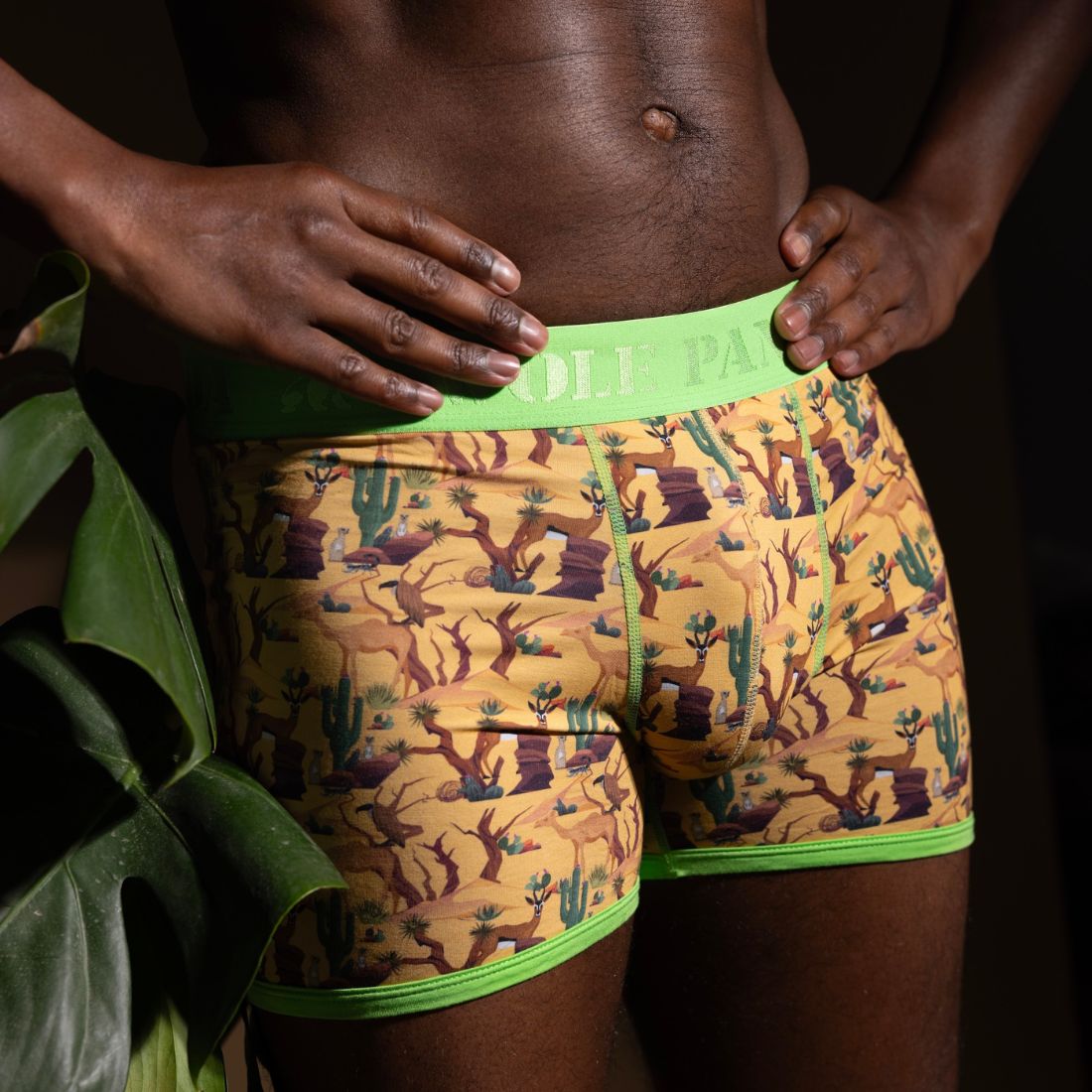 Bamboo Boxers - Savannah