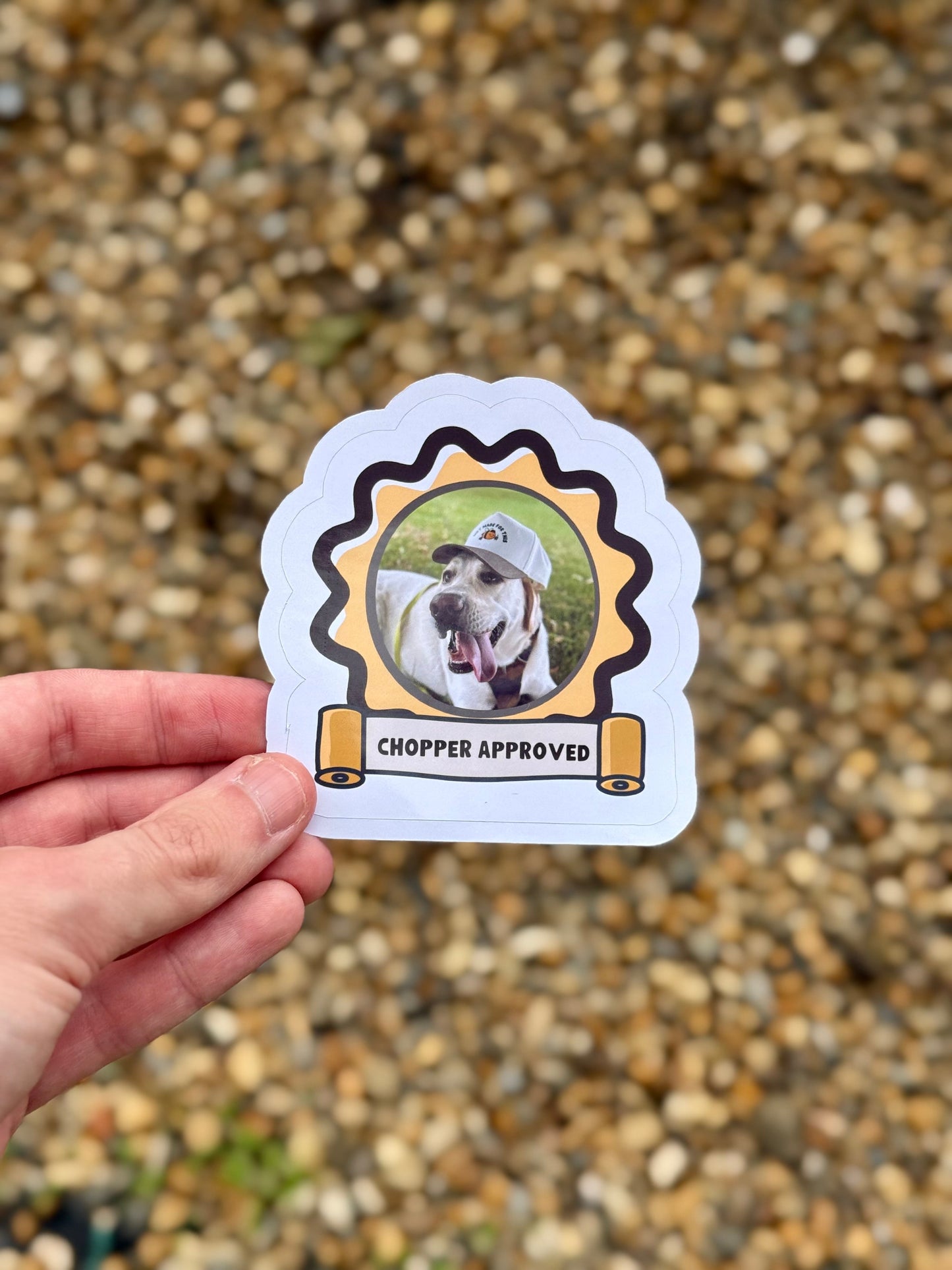 Chopper Approved Labrador Sticker | Not Made For This