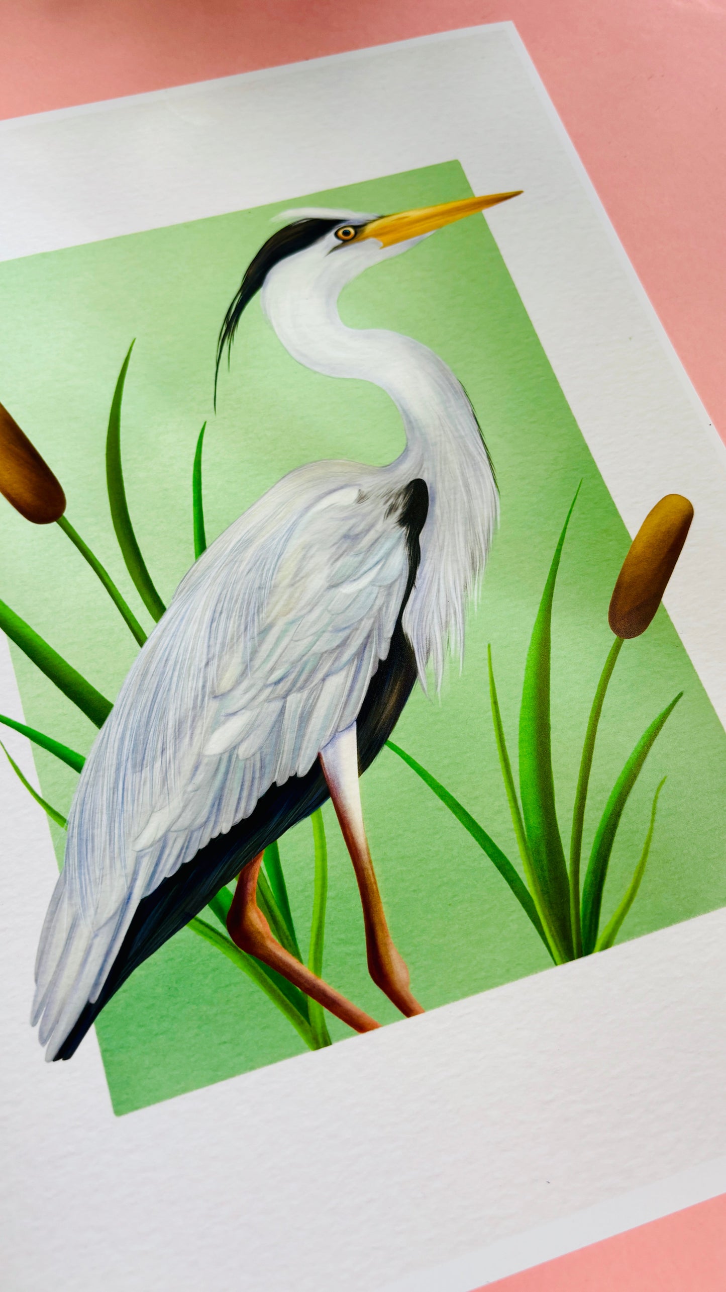 Grey Heron Wildlife Art Print –Wall Art for Nature Lovers in Multiple Sizes