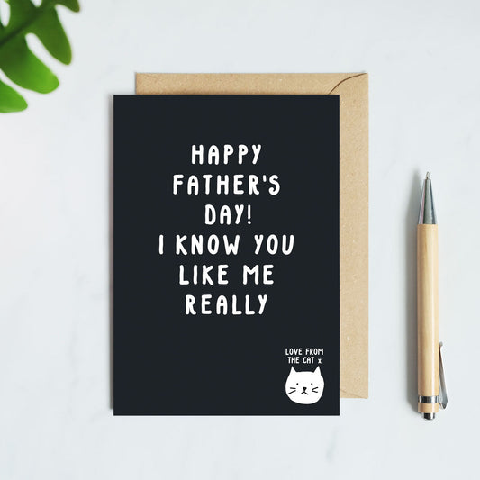 I Know You Like Me Really Father's Day Card From The Cat
