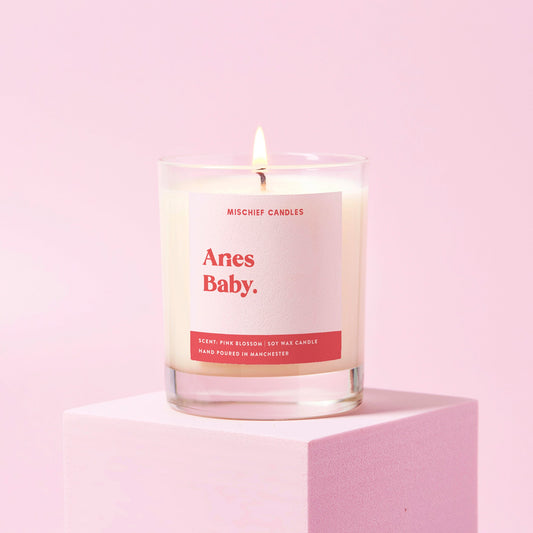 Aries Birthday Gift Funny Zodiac Candle Aries Baby