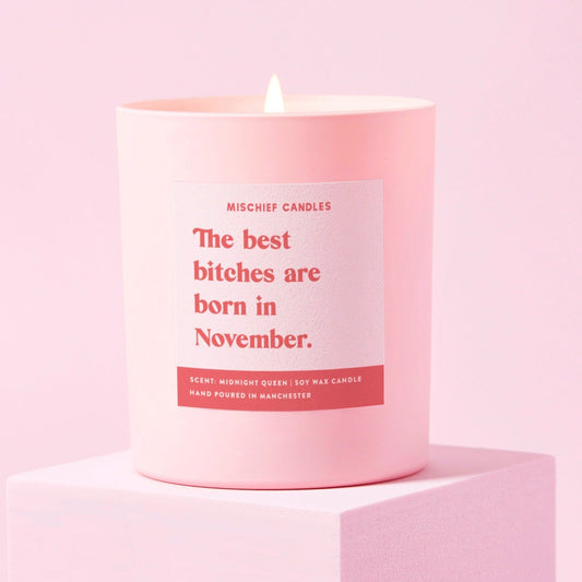 November Birthday Gift Funny Birthday Gift Candle November Birthday Bitch