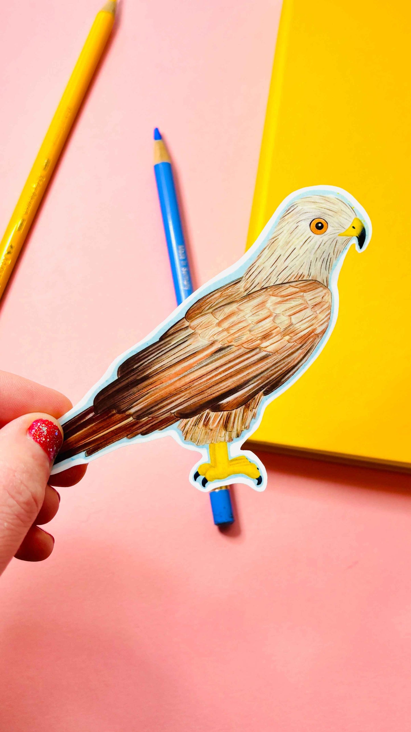 Birbfest 2025 Illustrated Birds 10cm Vinyl Sticker