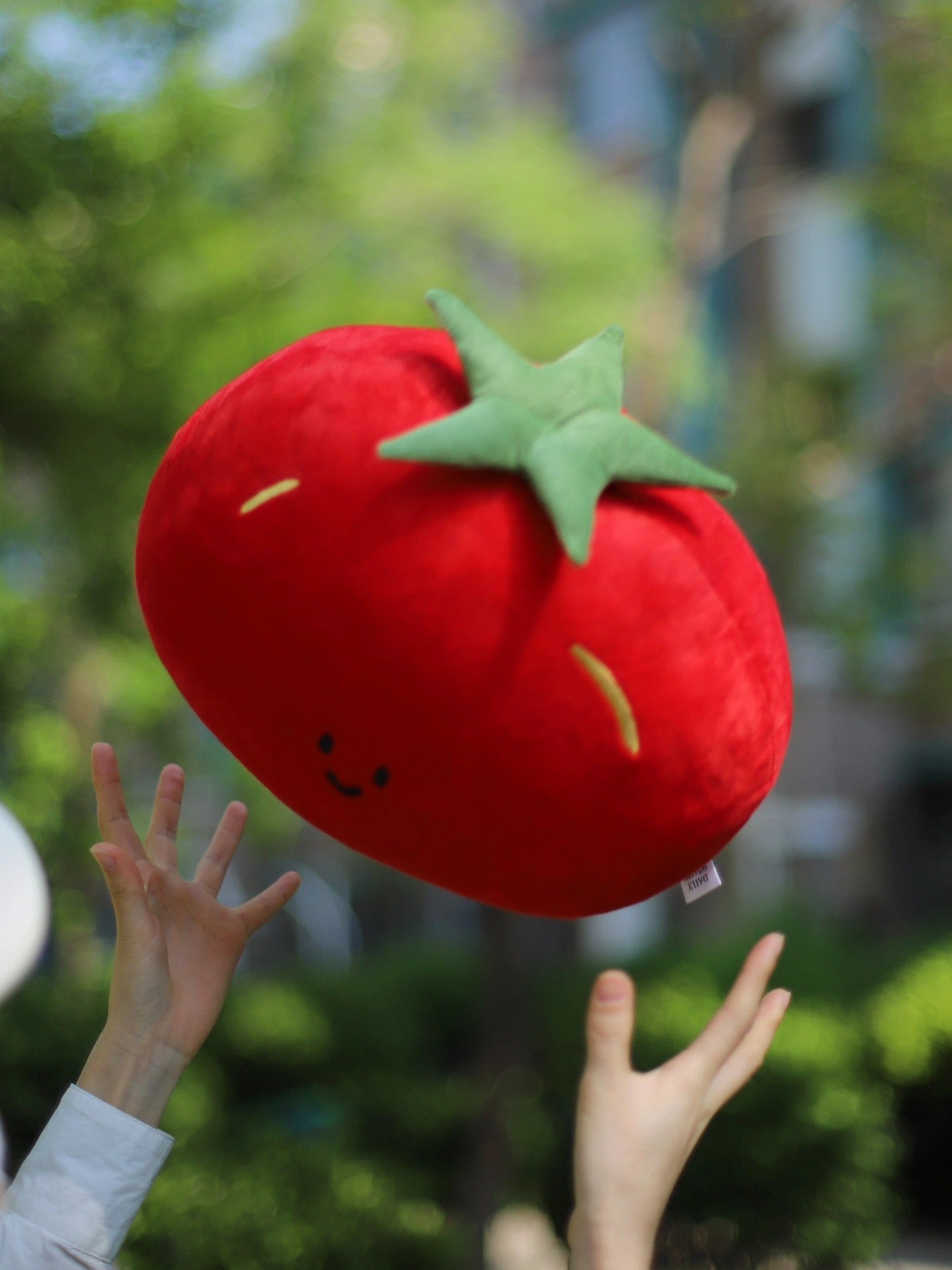 Daily White | Tomato Plush Pillow