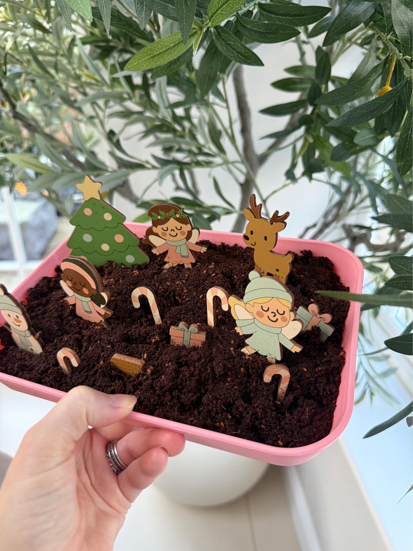 Back in stock: The Fairy Garden Box