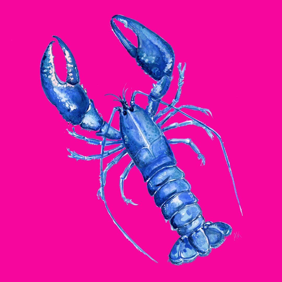 Oven Gloves - Super Duper Pink Lobster