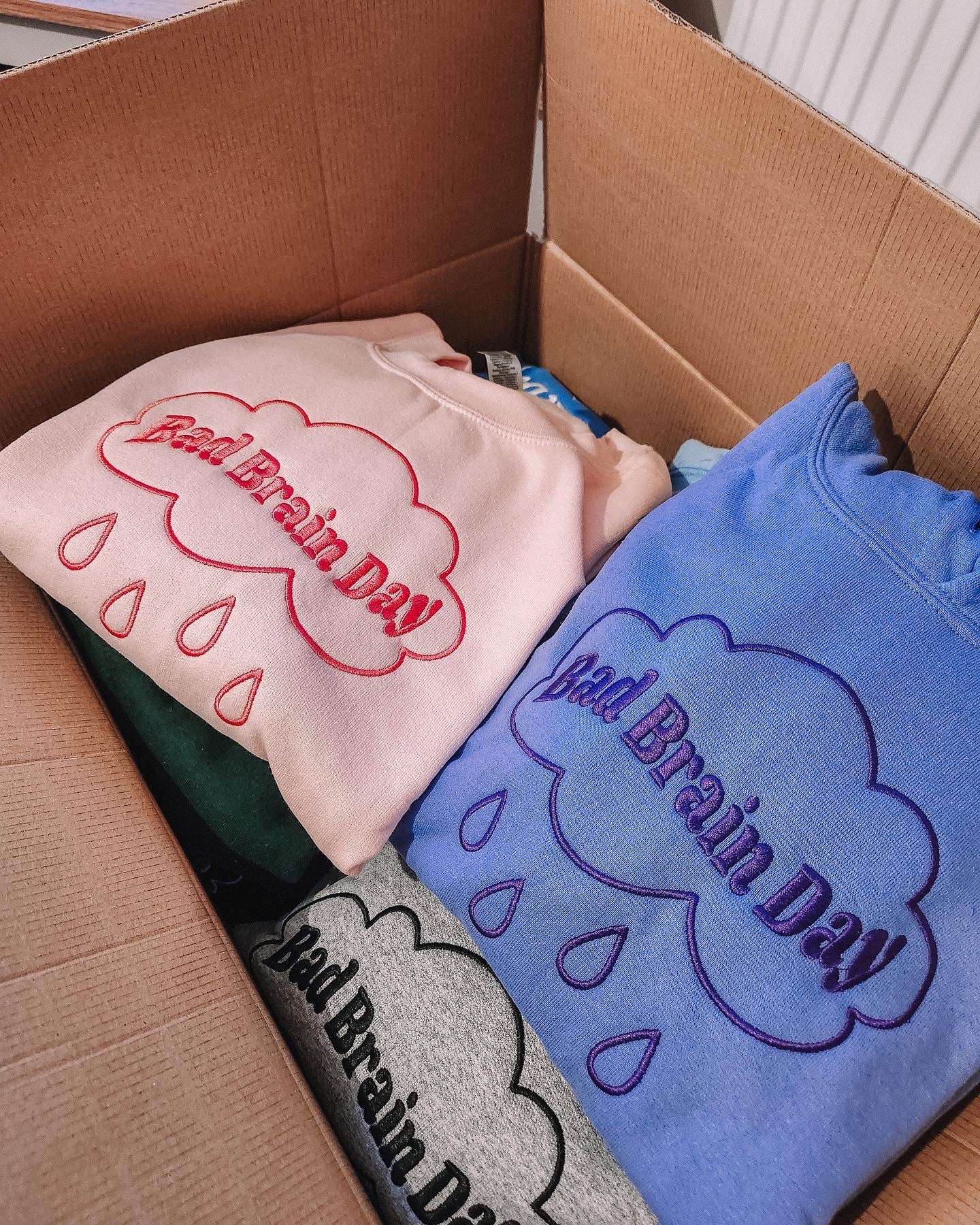 Bad Brain Day embroidered sweatshirt