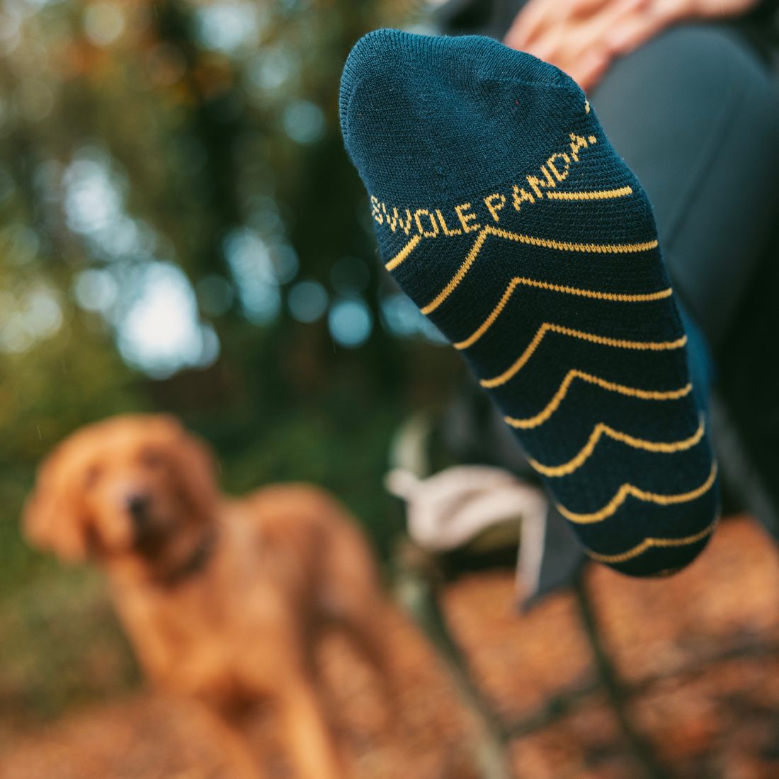 Navy Performance Trainer Socks