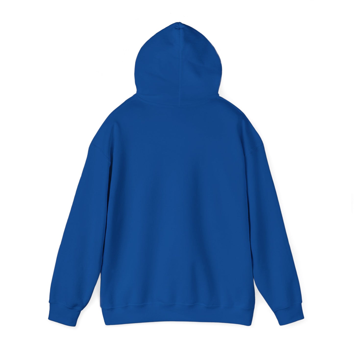 Recycle Reuse Renew Rethink Hoodie