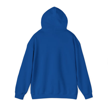 Recycle Reuse Renew Rethink Hoodie