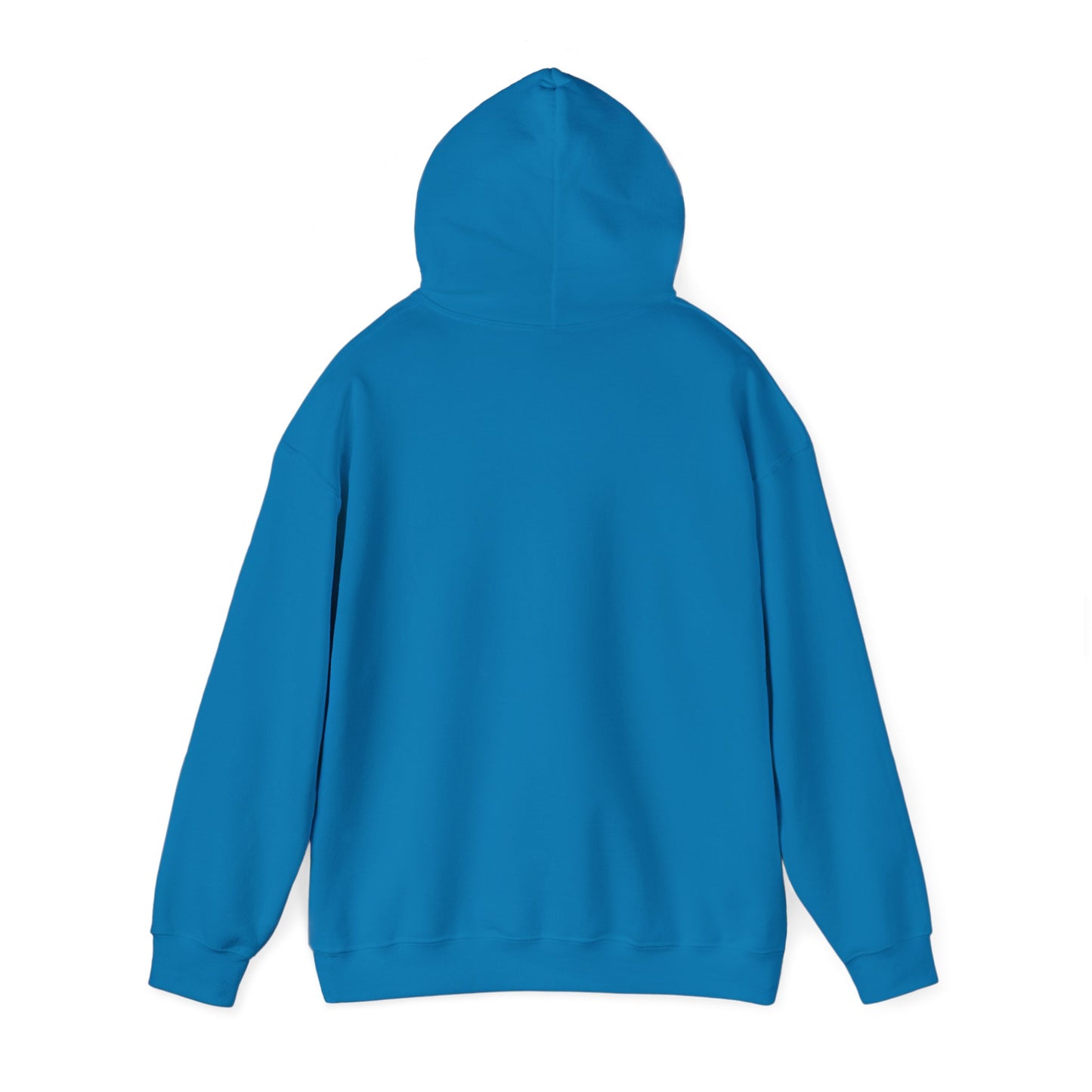 Recycle Reuse Renew Rethink Hoodie