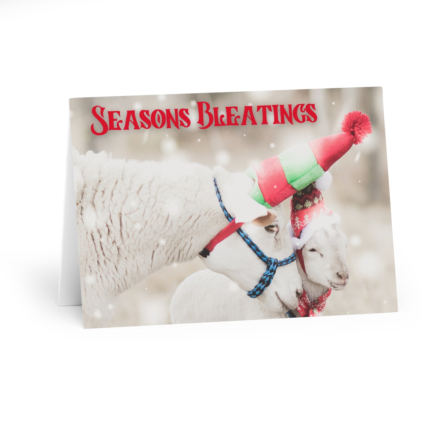 Christmas Cards (5 Pack): Seasons Bleatings