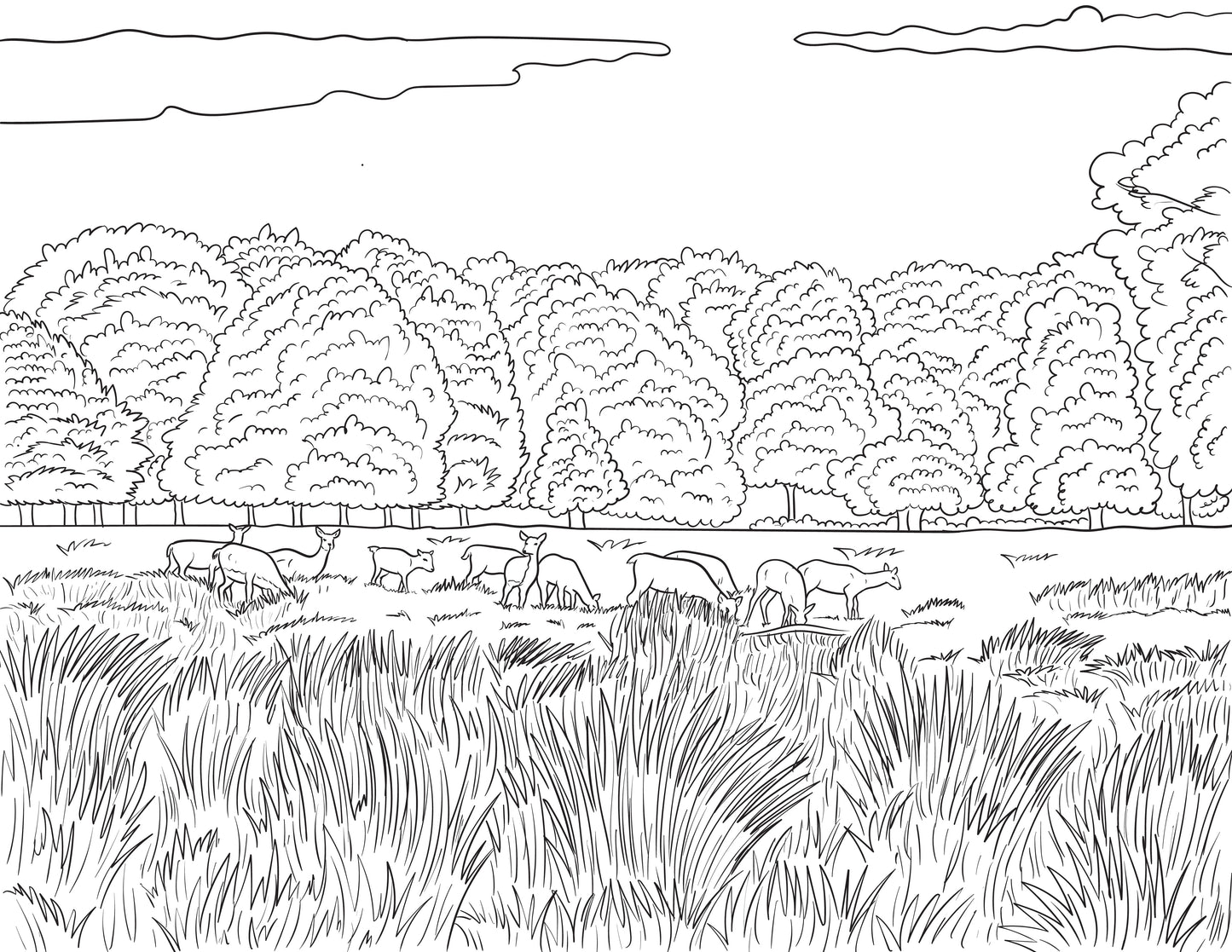 Richmond Colouring Book (A4)