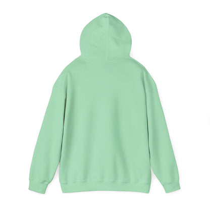 Recycle Reuse Renew Rethink Hoodie