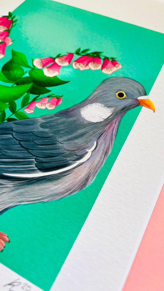 Wood Pigeon Art Print- British Wildlife Illustration
