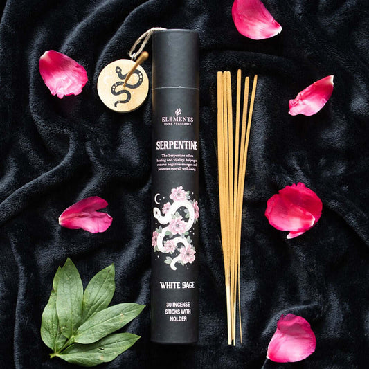 Gothic Gifts Serpentine Incense Stick Get Set
