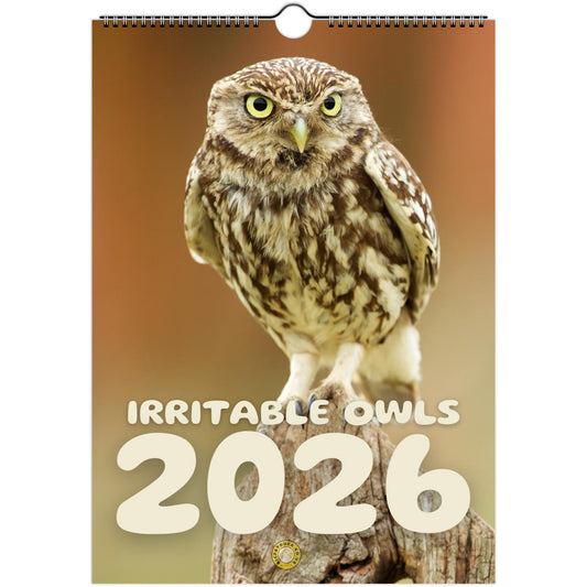 1fc19cf9-c24c-4ac9-8d5f-c594ba56a192