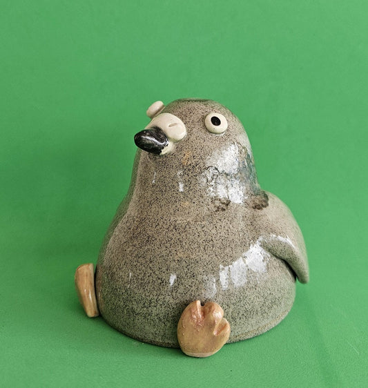 City Pigeon