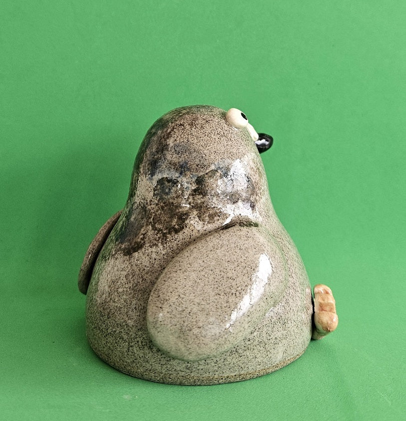 City Pigeon