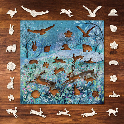 Midsummer Night's Dream