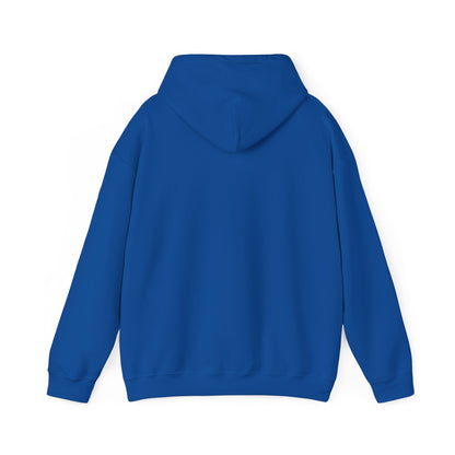 Recycle Reuse Renew Rethink Hoodie