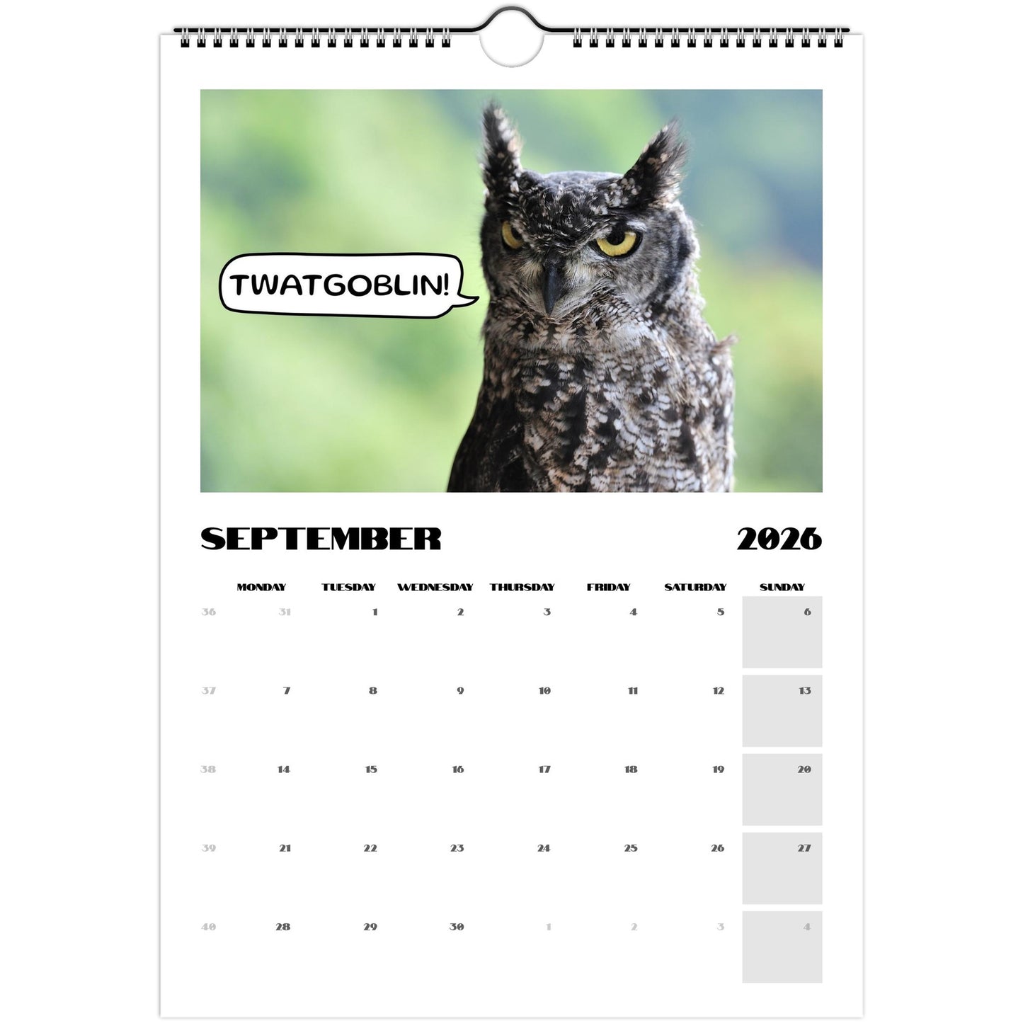 28a45871-f7a9-4619-aed8-5cff906e18bd