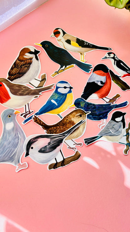 Blackbird Vinyl Sticker- British Wildlife Art Waterproof Sticker