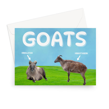 Goats Card: Himalayan/Himastandin