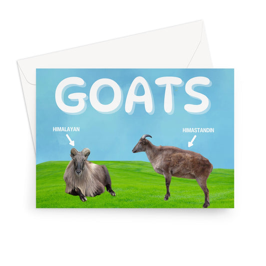 Goats Card: Himalayan/Himastandin