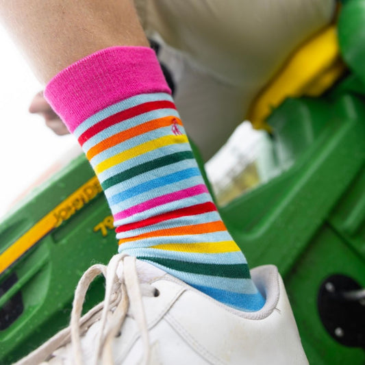 Pastel Striped Bamboo Socks