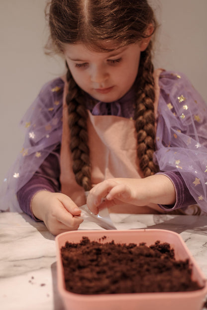 Back in stock: The Fairy Garden Box