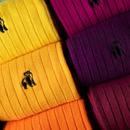 Ultimate Style Sock Box - 15 Pairs of Bamboo Socks