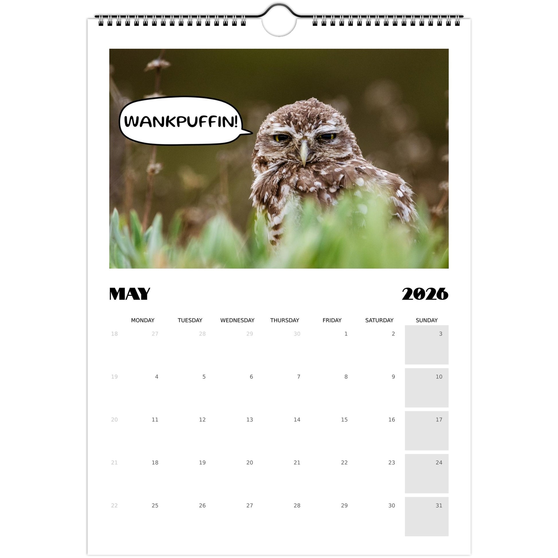 75e84c3d-7de6-42c2-810d-62ecc496f5cf