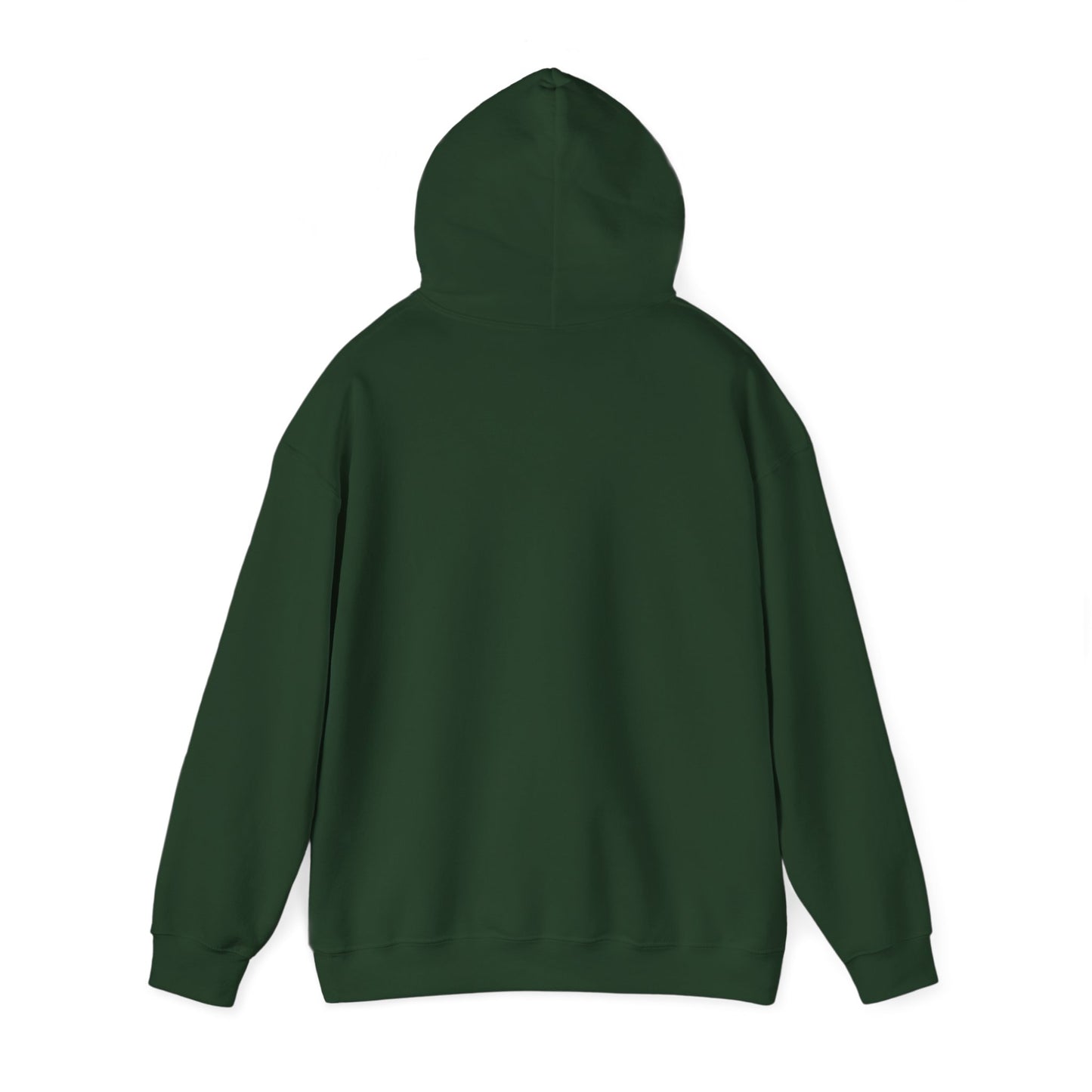 Recycle Reuse Renew Rethink Hoodie