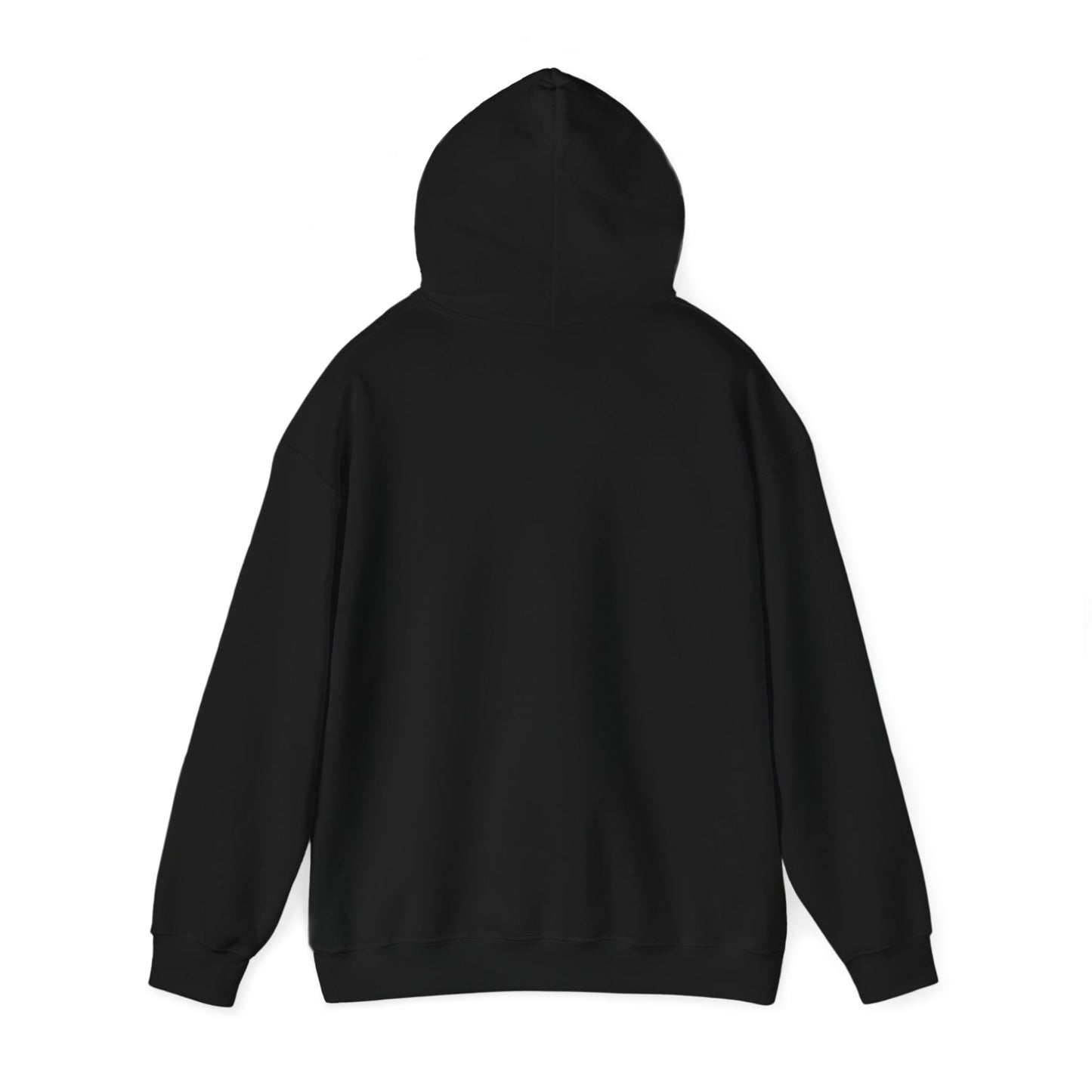 Recycle Reuse Renew Rethink Hoodie