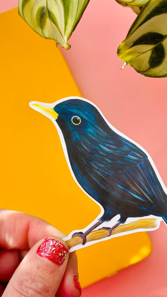 Blackbird Vinyl Sticker- British Wildlife Art Waterproof Sticker