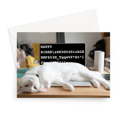 Birthday Card: Cat on laptop