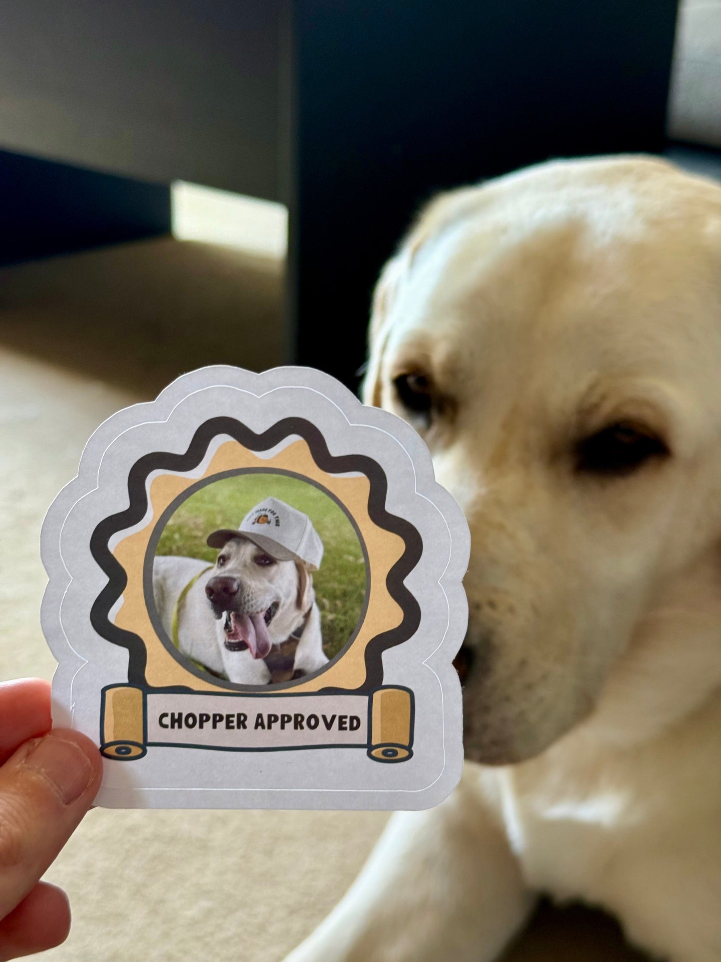 Chopper Approved Labrador Sticker | Not Made For This