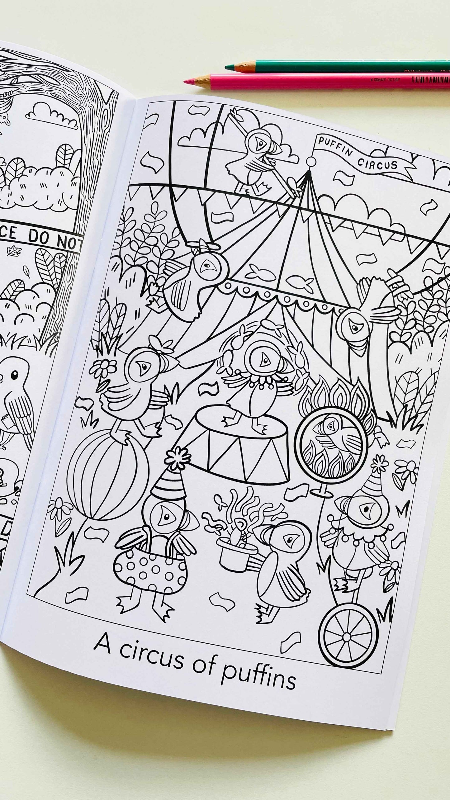 A crown of kingfishers: A collective noun colouring book