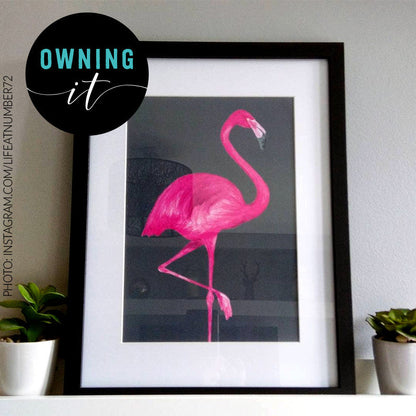 Flamingo Print