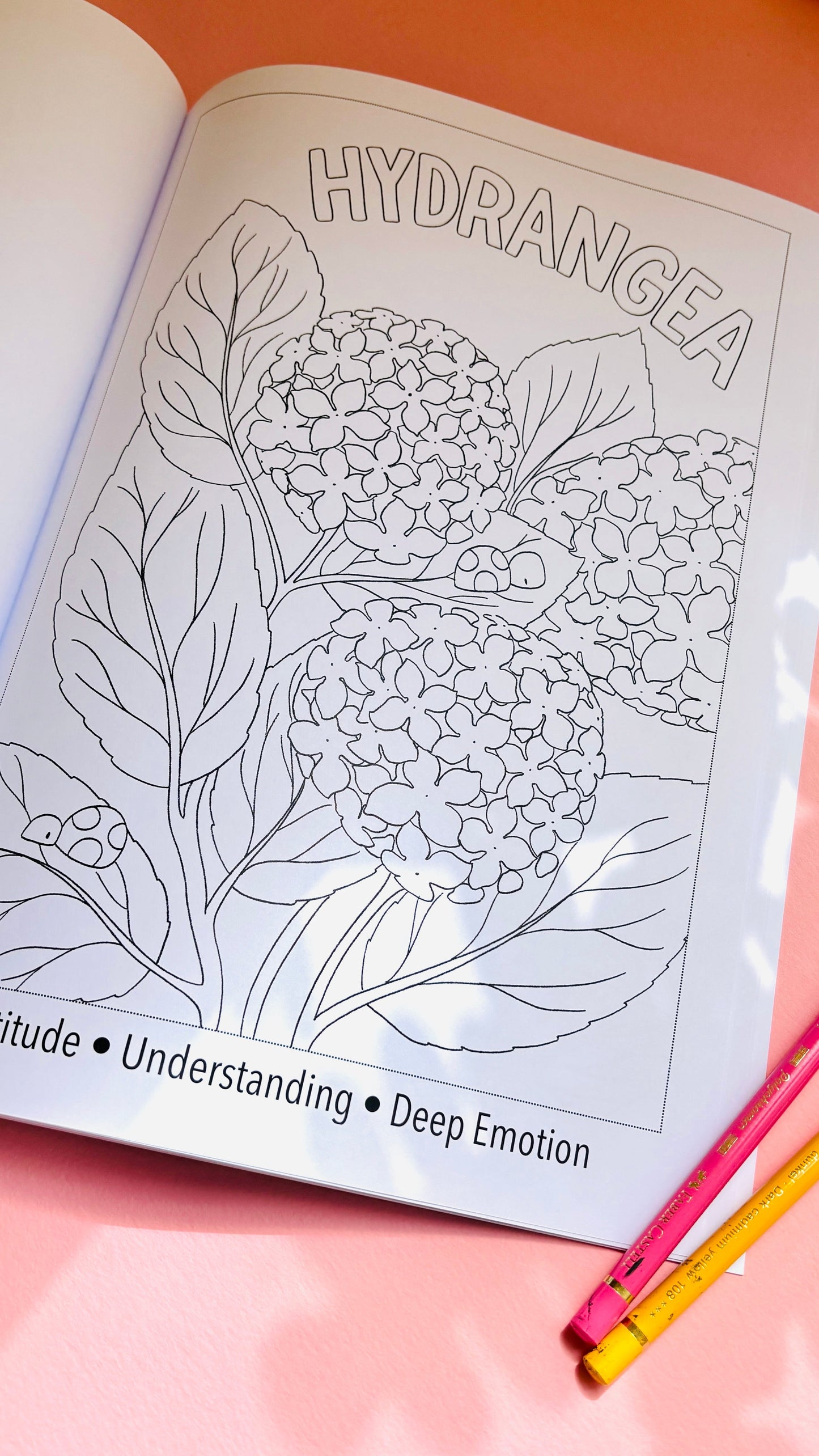 Blooming Lovely: The language of flowers colouring book for adults