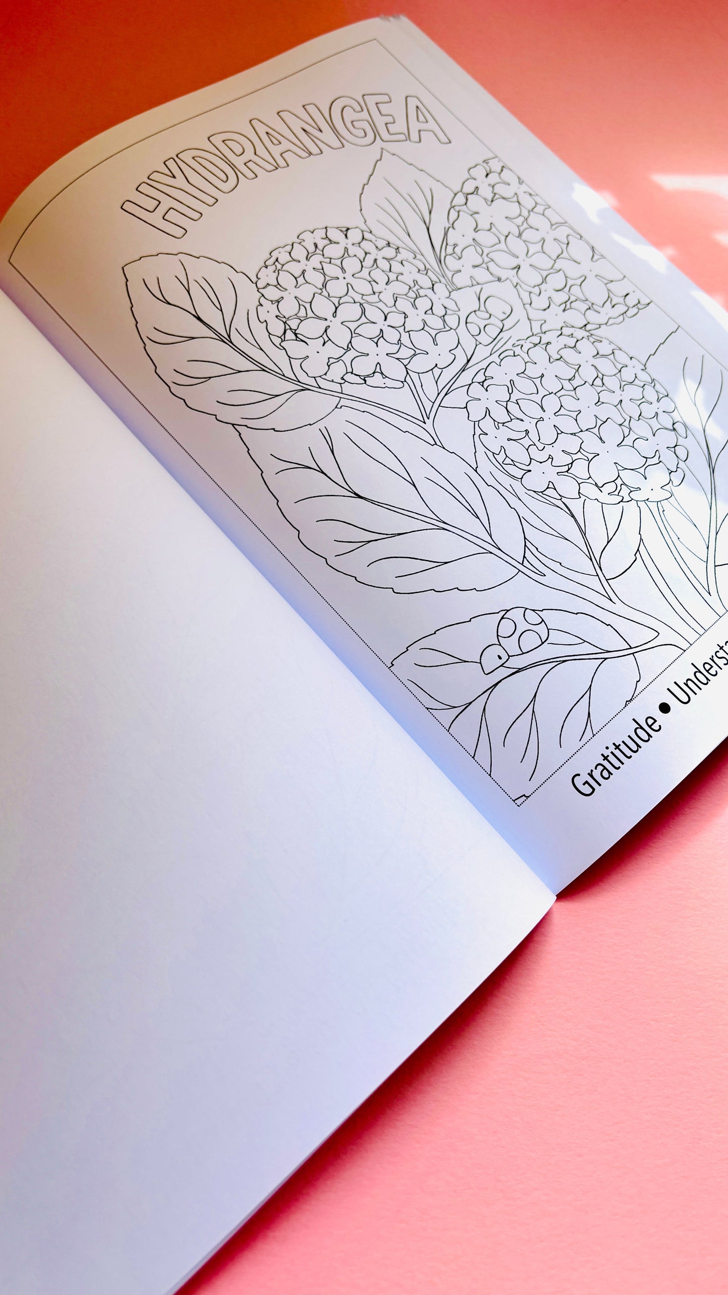 Blooming Lovely: The language of flowers colouring book for adults