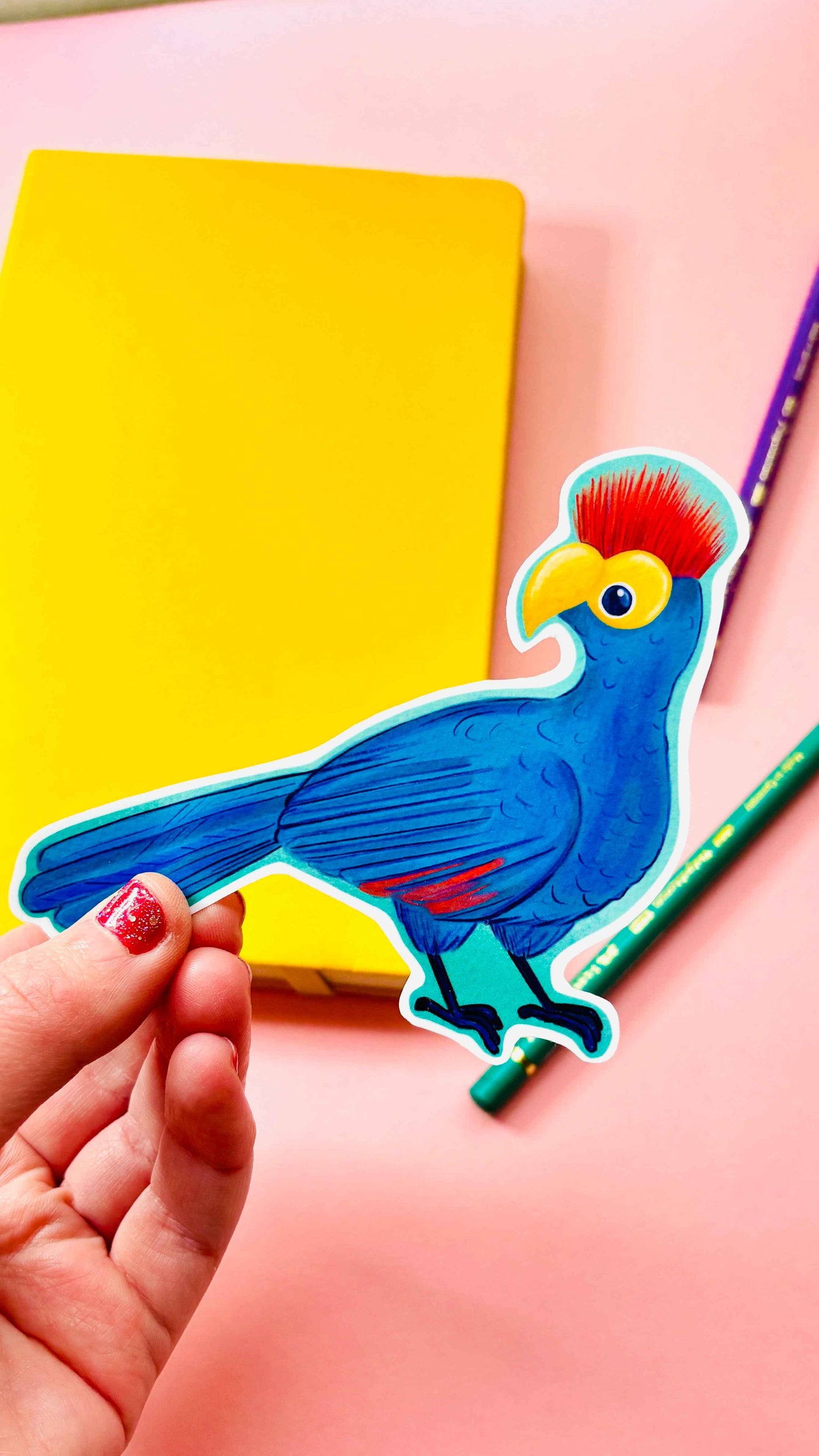 Birbfest 2025 Illustrated Birds 10cm Vinyl Sticker