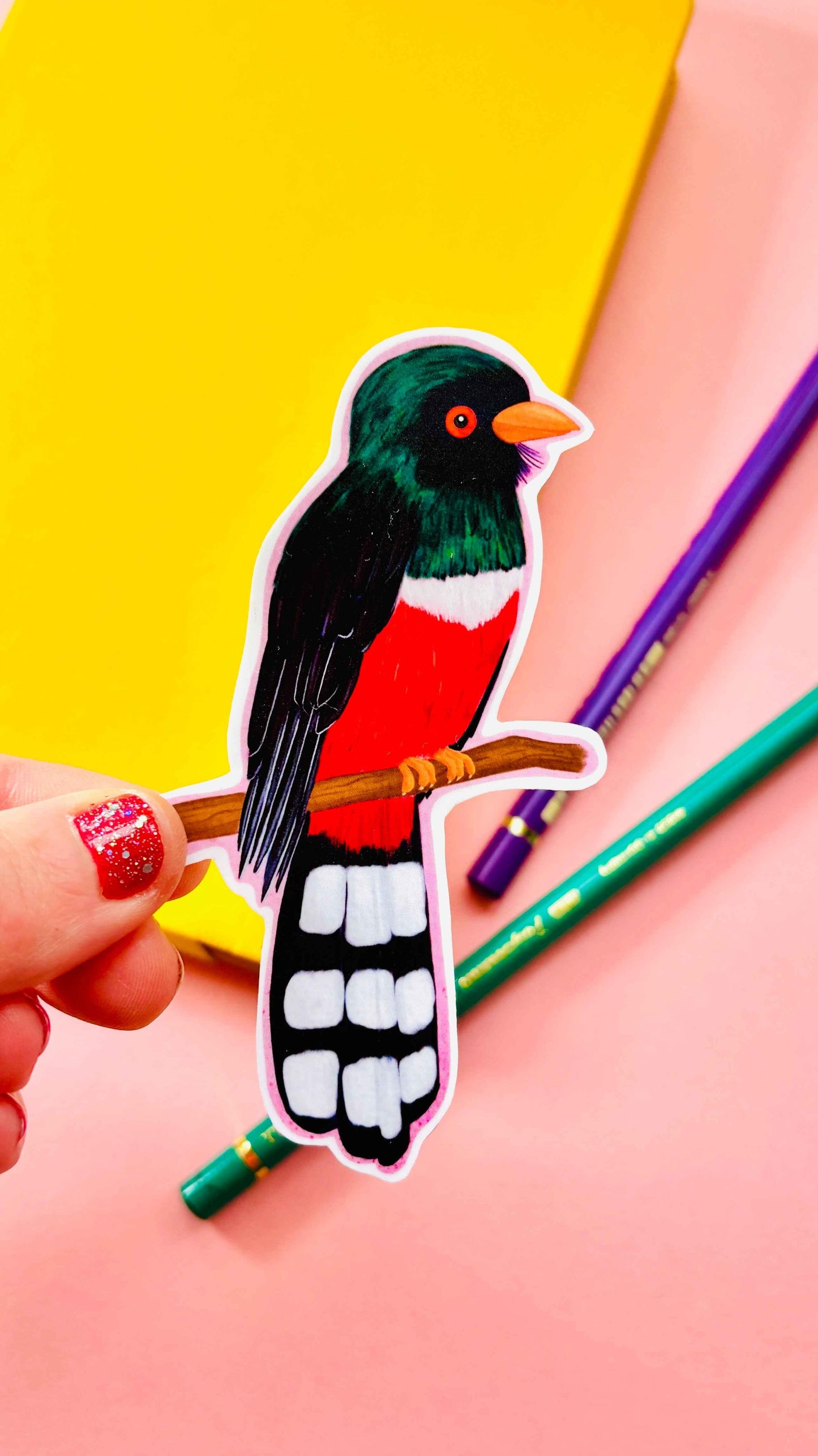 Birbfest 2025 Illustrated Birds 10cm Vinyl Sticker