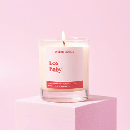 Leo Birthday Gift Funny Zodiac Birthday Candle Leo Baby