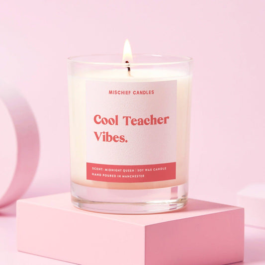 Teacher Gift Funny Teacher Gift Candle Cool Teacher Vibes