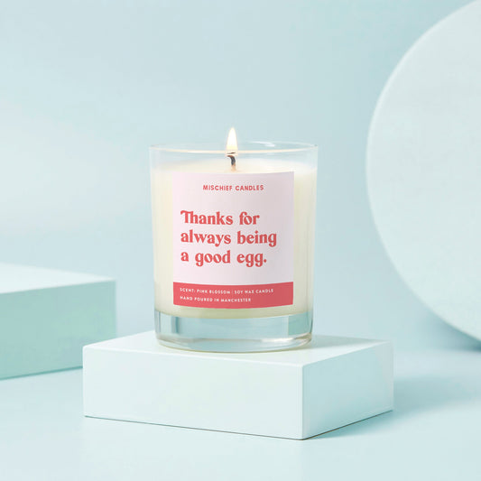 Thank You Gift Funny Soy Wax Candle Good Egg