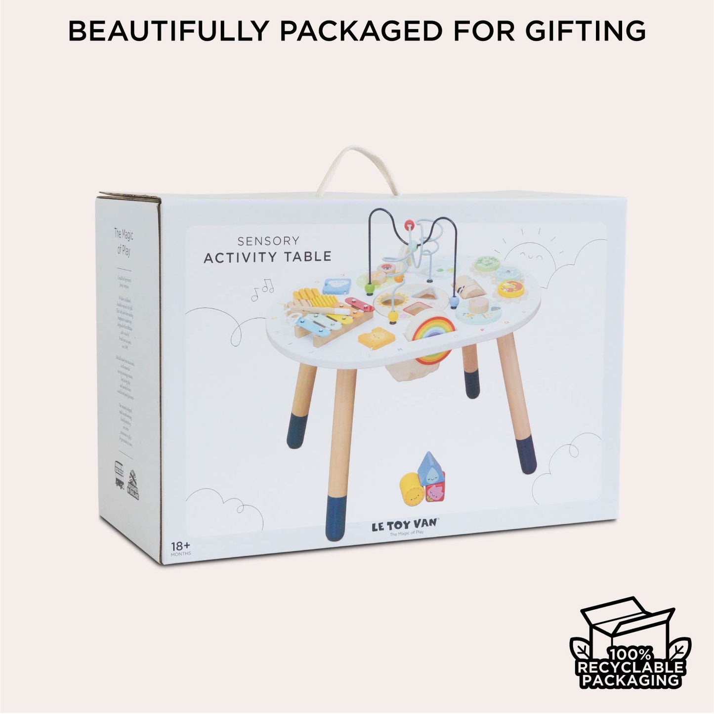 Sensory Activity Table