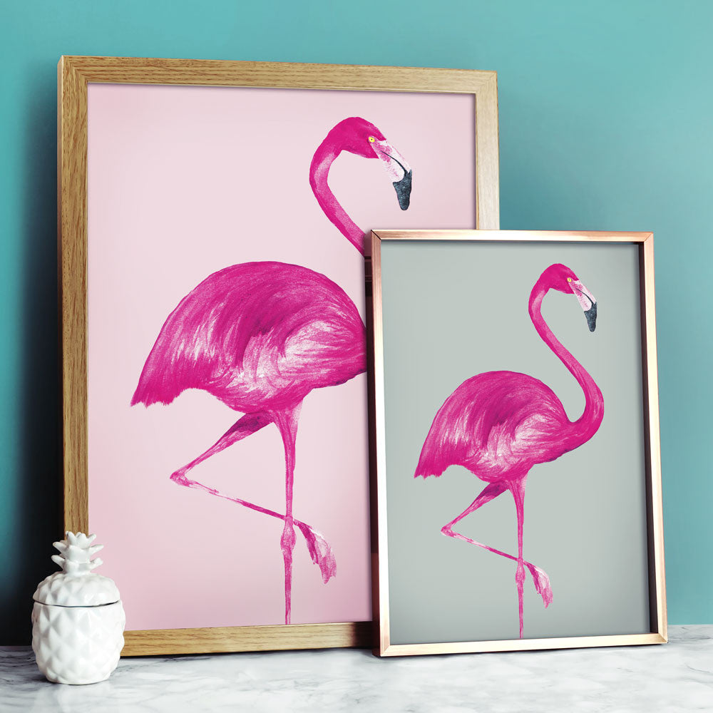 Flamingo Print